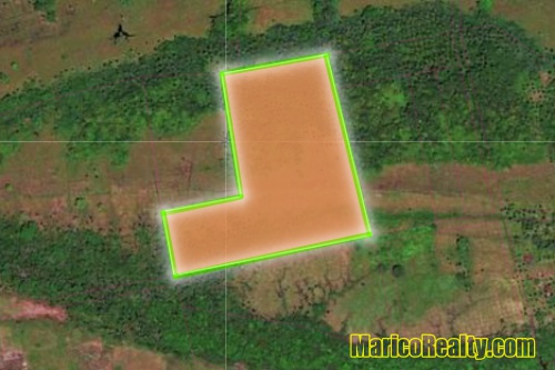 view site photo